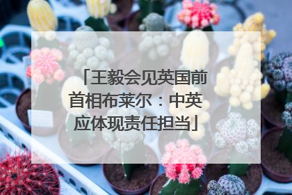 王毅会见英国前首相布莱尔：中英应体现责任担当