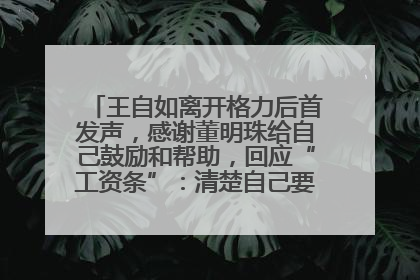王自如离开格力后首发声，感谢董明珠给自己鼓励和帮助，回应“工资条”：清楚自己要什么，工资条不重要