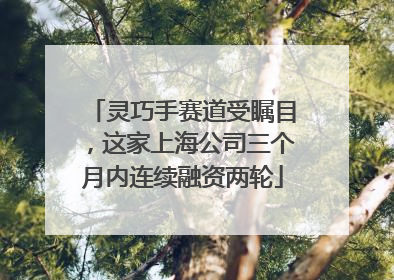 灵巧手赛道受瞩目，这家上海公司三个月内连续融资两轮