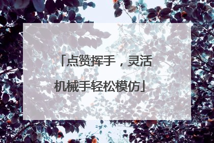 点赞挥手，灵活机械手轻松模仿