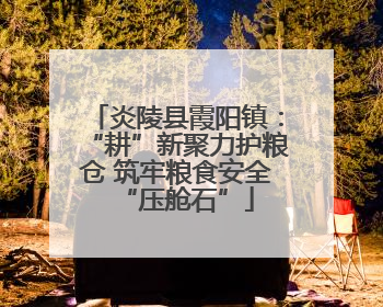 炎陵县霞阳镇：“耕”新聚力护粮仓 筑牢粮食安全“压舱石”