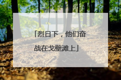 烈日下，他们奋战在戈壁滩上