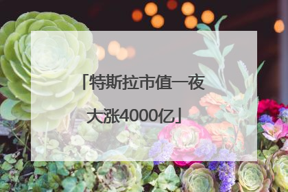 特斯拉市值一夜大涨4000亿