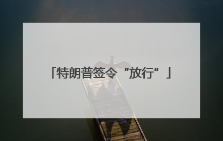 特朗普签令“放行”