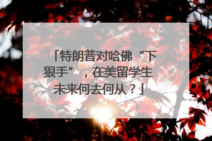 特朗普对哈佛“下狠手”，在美留学生未来何去何从？