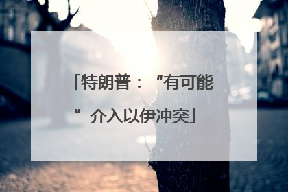 特朗普：“有可能”介入以伊冲突