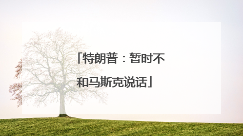 特朗普：暂时不和马斯克说话