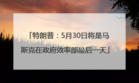 特朗普：5月30日将是马斯克在政府效率部最后一天