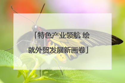 特色产业领航 绘就外贸发展新画卷