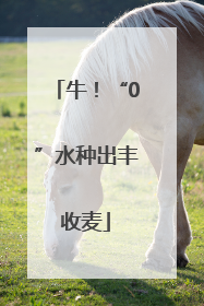 牛！“0”水种出丰收麦