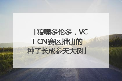 狼啸多伦多，VCT CN赛区播出的种子长成参天大树