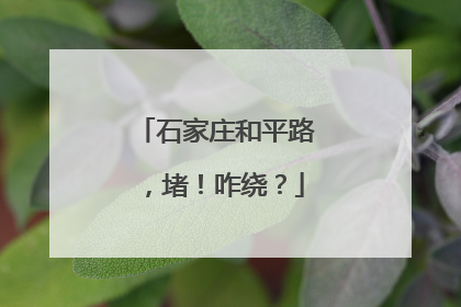 石家庄和平路，堵！咋绕？