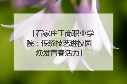 石家庄工商职业学院：传统技艺进校园焕发青春活力