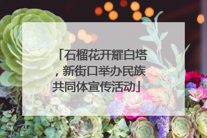 石榴花开耀白塔，新街口举办民族共同体宣传活动