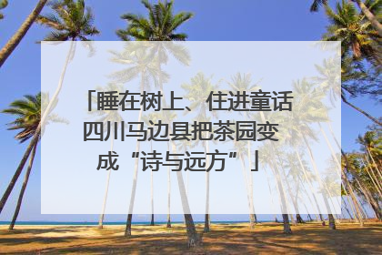 睡在树上、住进童话 四川马边县把茶园变成“诗与远方”