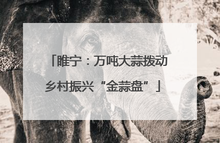睢宁：万吨大蒜拨动乡村振兴“金蒜盘”