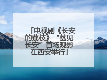电视剧《长安的荔枝》“荔见长安”首场观影在西安举行