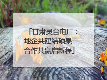 甘肃灵台电厂：地企共建结硕果 合作共赢启新程