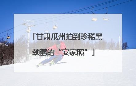 甘肃瓜州拍到珍稀黑颈鹤的“安家照”