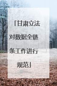 甘肃立法对数据全链条工作进行规范