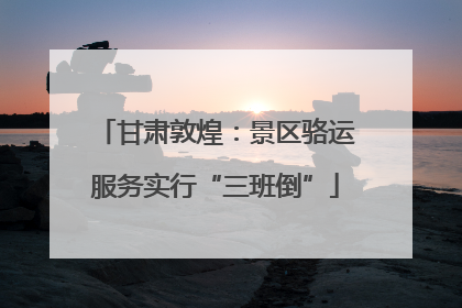 甘肃敦煌：景区骆运服务实行“三班倒”