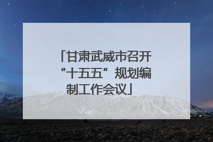 甘肃武威市召开“十五五”规划编制工作会议