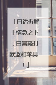 白话拆解丨情急之下，白宫敲打欧盟和苹果！