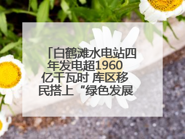 白鹤滩水电站四年发电超1960亿千瓦时 库区移民搭上“绿色发展快车”