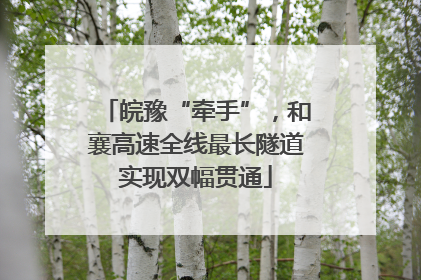 皖豫“牵手”，和襄高速全线最长隧道实现双幅贯通