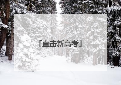 直击新高考