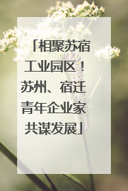 相聚苏宿工业园区！苏州、宿迁青年企业家共谋发展