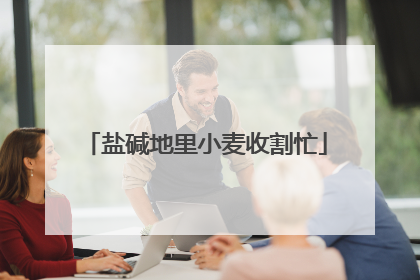 盐碱地里小麦收割忙