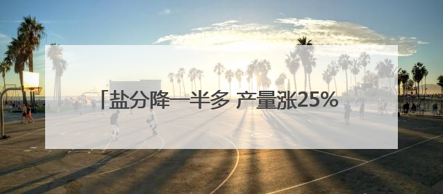 盐分降一半多 产量涨25% 看盐碱地如何变身“丰收田”