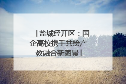盐城经开区：国企高校携手共绘产教融合新图景