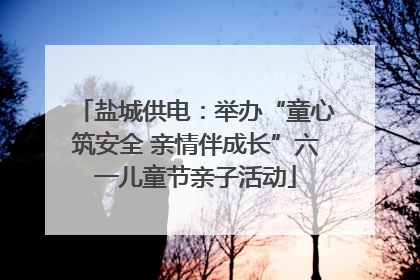 盐城供电：举办“童心筑安全 亲情伴成长”六一儿童节亲子活动