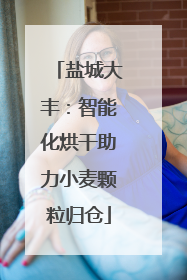 盐城大丰：智能化烘干助力小麦颗粒归仓