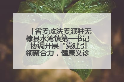 省委政法委派驻无棣县水湾镇第一书记 协调开展“党建引领聚合力，健康义诊惠乡亲”义诊活动