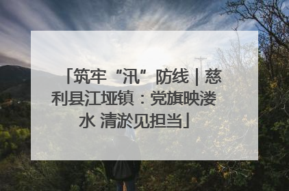 筑牢“汛”防线｜慈利县江垭镇：党旗映溇水 清淤见担当