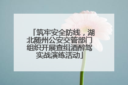 筑牢安全防线，湖北随州公安交管部门组织开展查缉酒醉驾实战演练活动