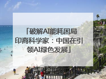 破解AI能耗困局 印裔科学家：中国在引领AI绿色发展