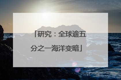 研究：全球逾五分之一海洋变暗
