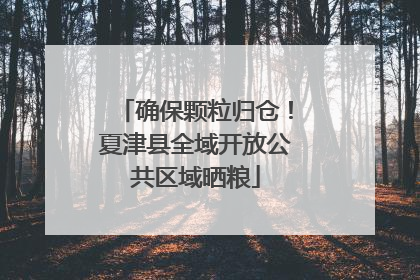 确保颗粒归仓！夏津县全域开放公共区域晒粮
