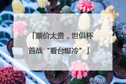 票价太贵，世俱杯首战“看台爆冷”
