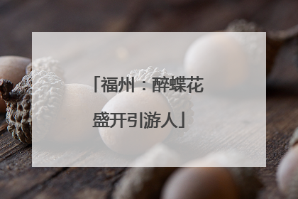 福州：醉蝶花盛开引游人
