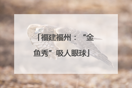 福建福州：“金鱼秀”吸人眼球