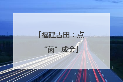 福建古田：点“菌”成金