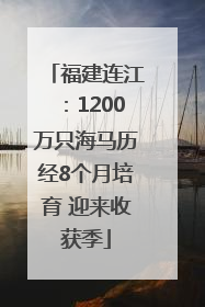 福建连江：1200万只海马历经8个月培育 迎来收获季