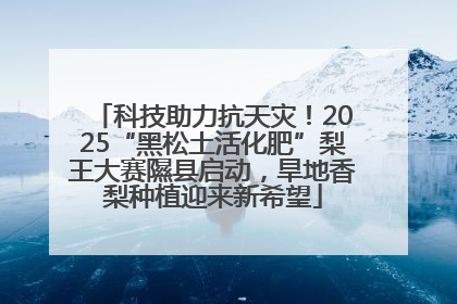 科技助力抗天灾！2025“黑松土活化肥”梨王大赛隰县启动，旱地香梨种植迎来新希望