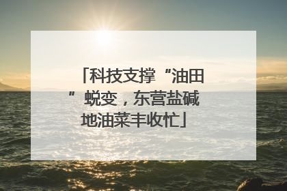 科技支撑“油田”蜕变，东营盐碱地油菜丰收忙