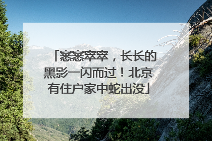 窸窸窣窣，长长的黑影一闪而过！北京有住户家中蛇出没